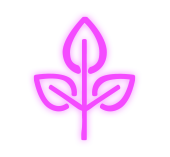 Leaf-Icon